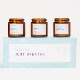 3 pcs Aromatherapy Scented Candles Just Breathe Candles Gift Set for Women Hand Poured Soy Wax with Essential Oils Glass Candle Set with Gift Box