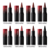 PSJ301-027M  Foggy Lipstick and Lip Liner in One Design 8 Shades of Matte Velvet Lip Color Makeup with a Velvet Matte Finish for 24 Hours Single Unit